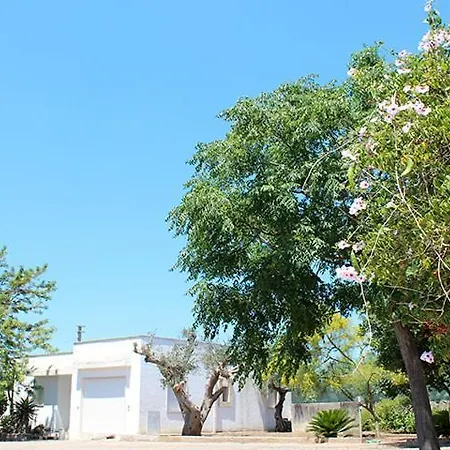 Villeriunite - Ginestra غالّيبولي
