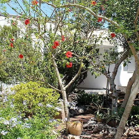 Villeriunite - Ginestra بيت للعطل *